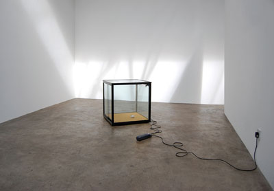  Locky Morris: From day one, 2008, illuminated glass display case, carpet, crumpled card (child shirt collar insert), 63.5 x 63.5 x 68 cm; courtesy mother’s tankstation